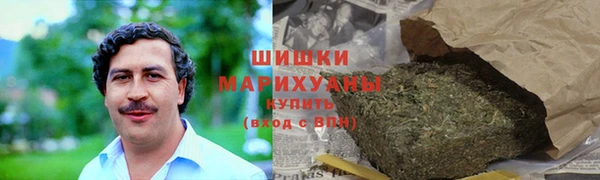 молекула духа Богданович